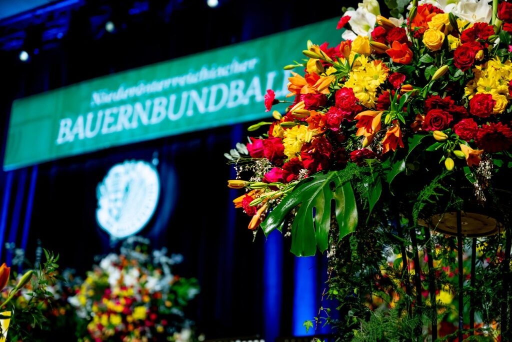 80. Noe Bauernbundball